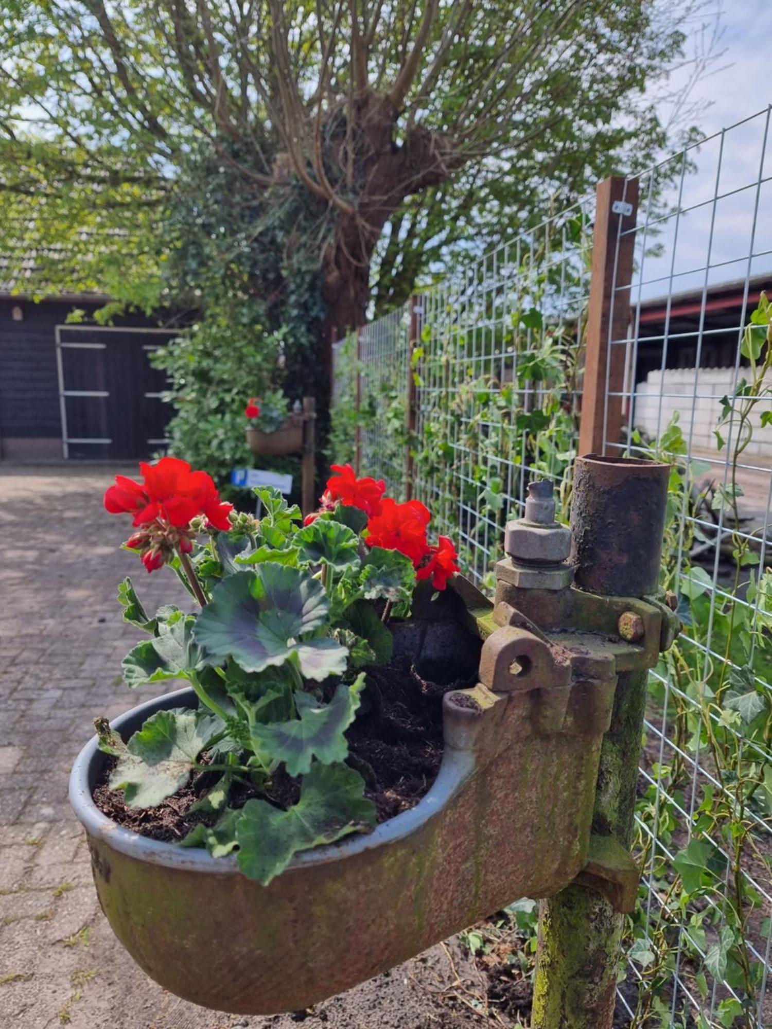 De Schotse Hooglander Bed & Breakfast *